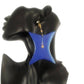 Blue Wooden Dangle Earrings